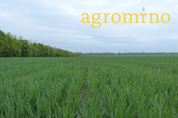 Sparinvest S. A. уменьшил долю в Agromino до 4,9%