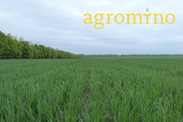 Sparinvest S. A. уменьшил долю в Agromino до 4,9%