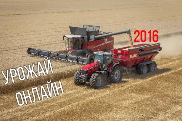 В Украине названы области-лидеры по уборке зерновых культур — Урожай Онлайн