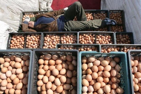 Украина увеличила на 3,2% производство яиц в 2017 