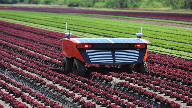 5-річка по-японськи. Кількість роботів на фермах подвоїться, а працівників на 30% поменшає