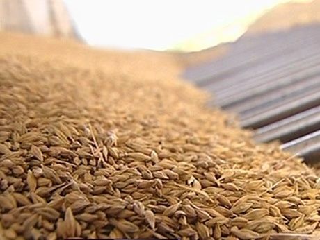 Україна вже експортувала 22,8 млн тонн зернових