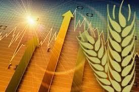 Прогноз мирового производства зерновых в 2017/18 МГ повышен на 21 млн т