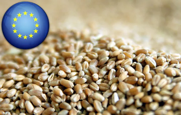 Strategie Grains снизило прогноз экспорта пшеницы из ЕС в 2017/18 МГ 