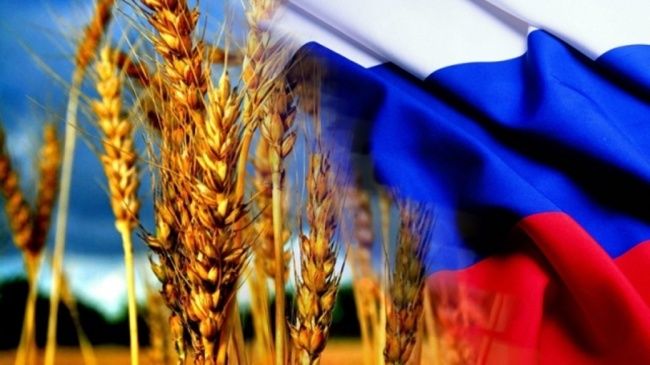 РФ в 2018 году увеличила экспорт продукции АПК на 20%