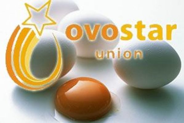 "Овостар Юнион" в 2017 увеличил производство яиц на 12%