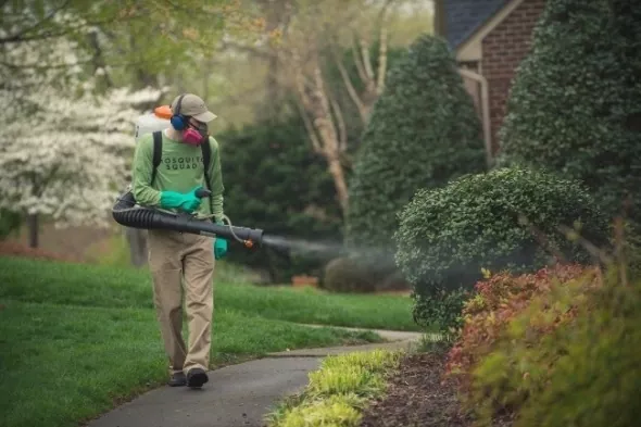 EFSA оценила необходимость применения инсектицида пиметрозина