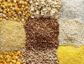 Найперспективнішими зерновими для України є кукурудза і ячмінь 