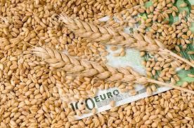 ЄС прогнозує зростання цін на зернові 