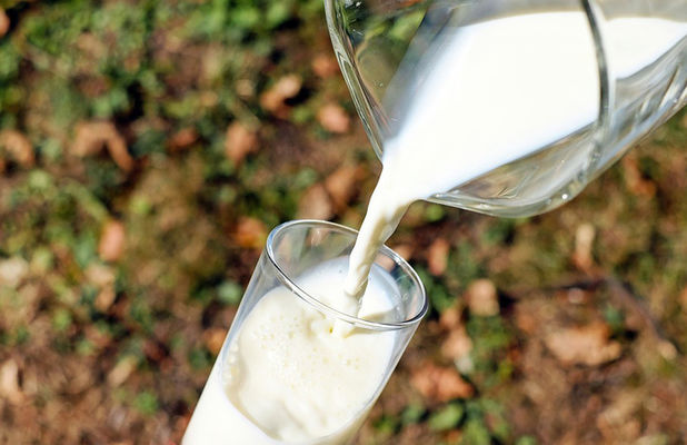Мнение: В Украине должно остаться только три сорта молока-сырья