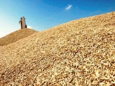 Урожай зерновых и зернобобовых культур в Украине в 2017 году составил почти 61,3 млн. тонн – Госстат