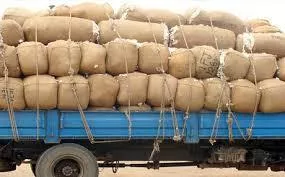 В Пакистане стартовала новая программа экспорта пшеницы