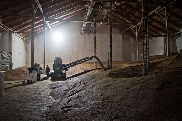 На Запорожье разоблачили механизм хищения зерна на 2 млн грн