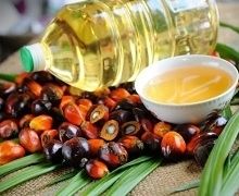 Україна торік імпортувала пальмової олії на $168 млн