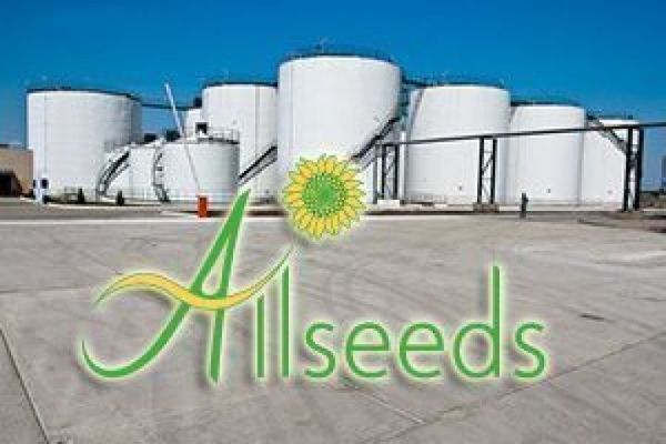 Allseeds в 2017 году произвела 264,5 тыс. тонн подсолнечного масла