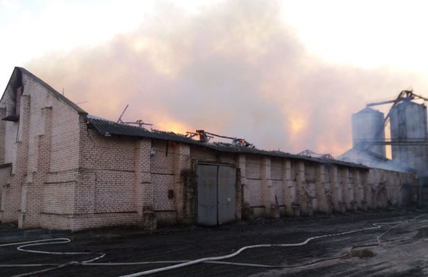 Масштабный пожар произошел на складе маслозавода в Николаевской области
