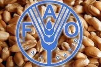 Цены на продовольственные товары в целом устойчивы - ФАО