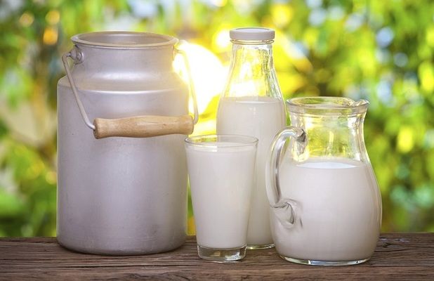  Закупівельна ціна на молоко-сировину коливається від 9,1 до 10,02 грн/кг