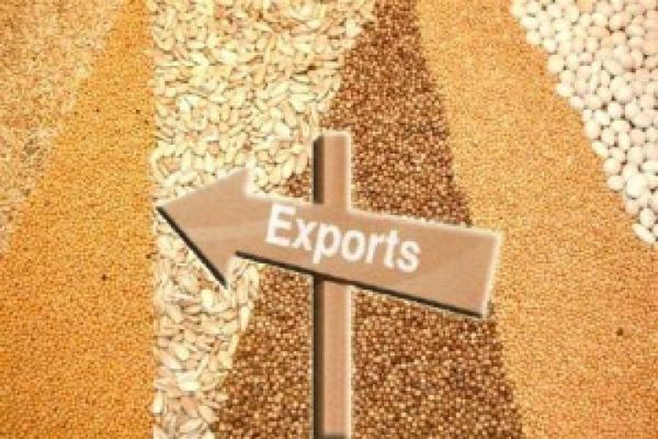  С начала 2017/18 МГ Украина экспортировала 3,9 млн тонн масличных