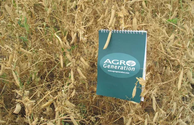 AgroGeneration продала 27% земельного банка