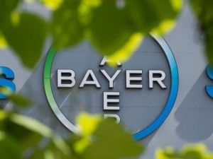 В Байер назначен новый руководитель аграрного подразделения компании в Украине