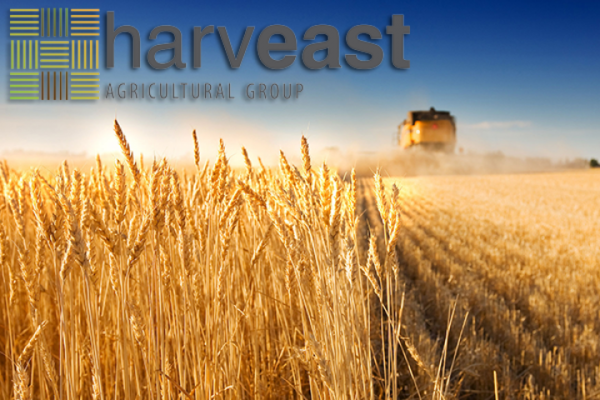HarvEast будет сотрудничать с компанией Advanta Seeds