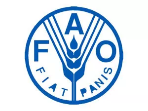 ФАО выпустило руководство по борьбе с травяной совкой