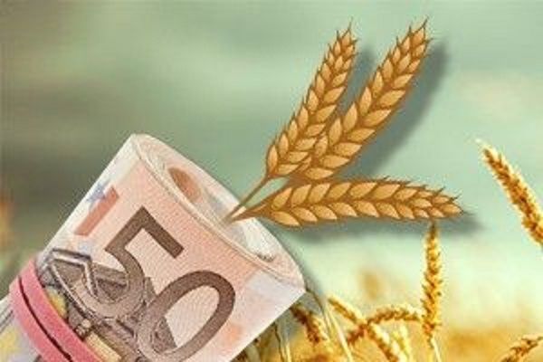 Минэкономразвития увеличило прогноз роста сельхозпроизводства до 2,2%