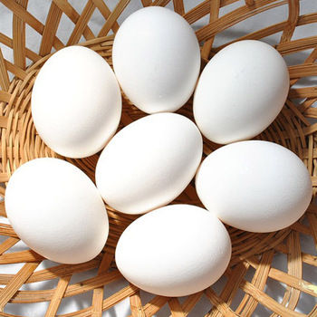 Компания Бахматюка начнет поставки яиц в ЕС