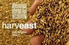 HarvEast в августе 2018 г. запустит семенной завод в Донецкой области