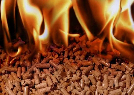 В Запоріжжі котельня на лушпинні соняшнику опалює лікарню