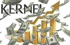 «Кернел» привернув кредитну лінію на $100 млн