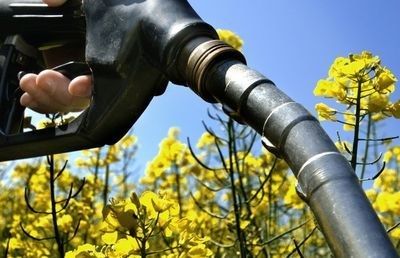 Индонезия подаст иск во Всемирную торговую организацию против США в отношении биодизеля