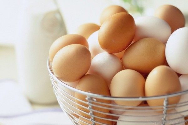Вчені створили біологічне паливо з яєчних білків 