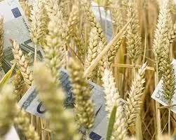 На площадке Euronext подорожала пшеница