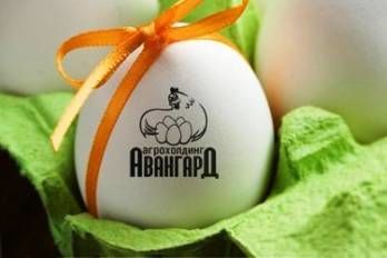 Польские производители яиц боятся экспансии украинского «Авангарда»