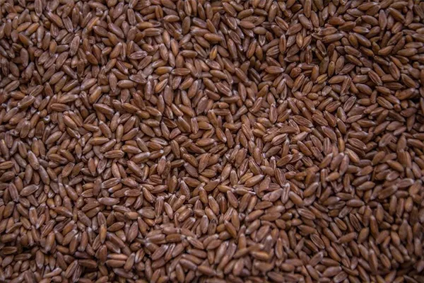 Украинский рынок потребляет 24,4 млн т зерновых