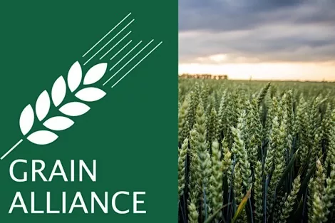 Grain Alliance в майбутньому планує придбати локомотиви і зерновози