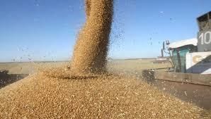 Украина с начала 2017/18 МГ экспортировала 27 млн т зерновых