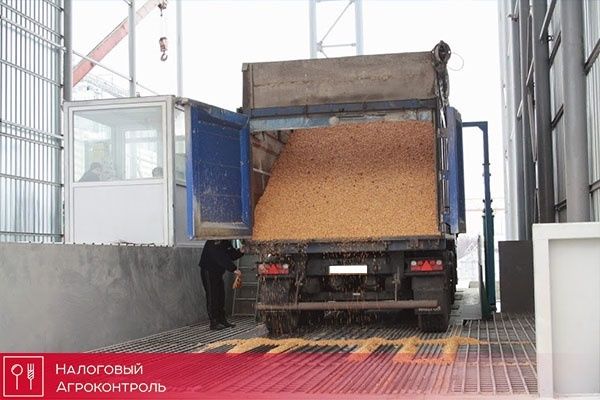 ГФС конфисковала зерна на 115 млн грн
