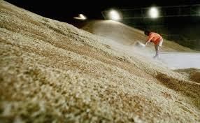 Предложение зерновых в мире в сезоне 2017–2018 годов сохраняется на высоком уровне - ФАО ООН