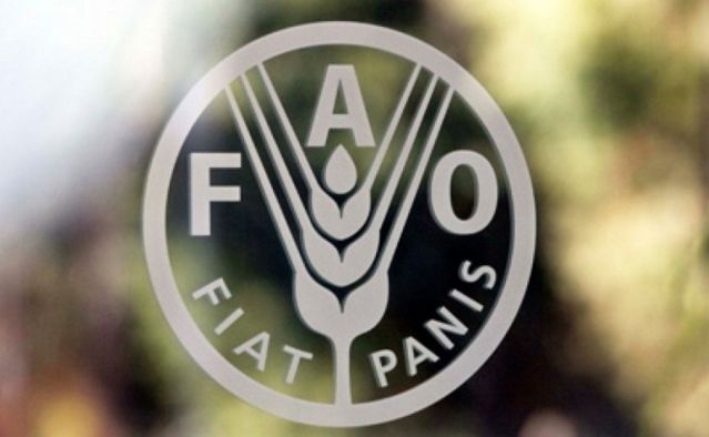 У лютому зросли ціни на молочну продукцію та зернові - ФАО