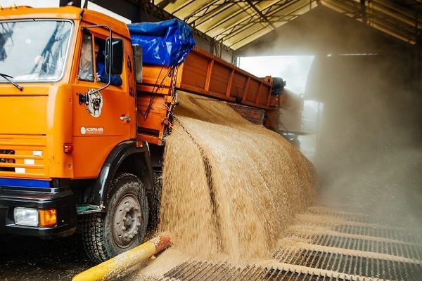 Украина с начала 2016/17 МГ экспортировала 22 млн т зерновых
