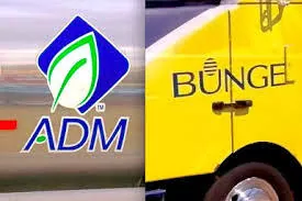 Bunge и ADM остановили переговоры о слиянии