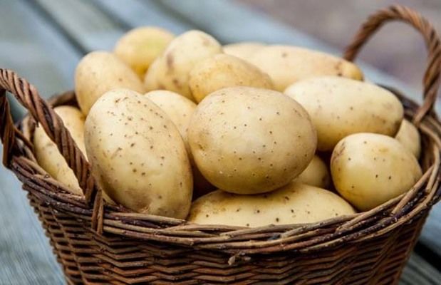 Украина собрала 22 млн тонн картофеля