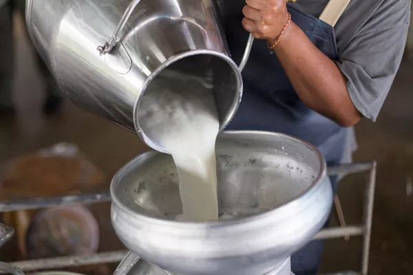 Виробництво молока в Україні: названо трійку областей-лідерів