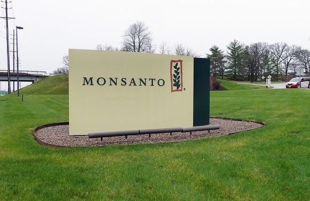 Monsanto активизирует разработки в области генного редактирования