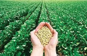 США: USDA снизило прогноз посевных площадей под соей и кукурузой в 2018 г.