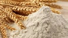 ГПЗКУ планирует экспорт зерновых культур и готовой продукции в Катар