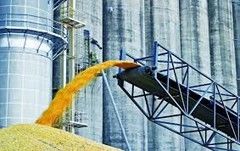 Елеватори Держрезерву збільшують обсяги зберігання зернових
